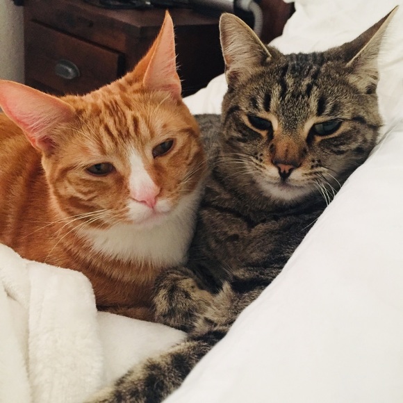 Posh Profile: Joleen - Picture 3 of 3